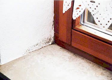 Schimmel am Fenster